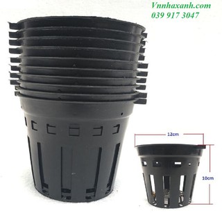 Combo 50 chậu nhựa trồng lan phi 12, đường kính 12cm