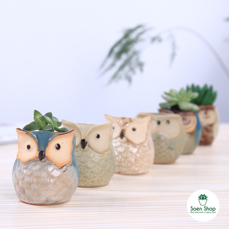 SIÊU RẺ - Chậu cây hình Cú Mèo Mini Siêu xinh - Chậu trồng sen đá, xường rồng, cẩm nhung để bàn - soen shop