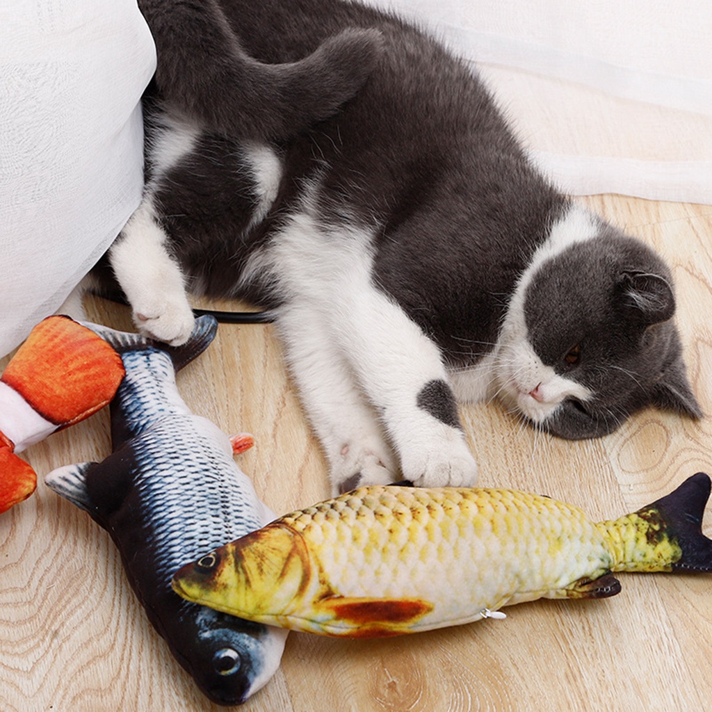 Đồ Chơi Cá Điện Tử 3 Chế Độ Có Cổng Sạc USB Cho Mèo