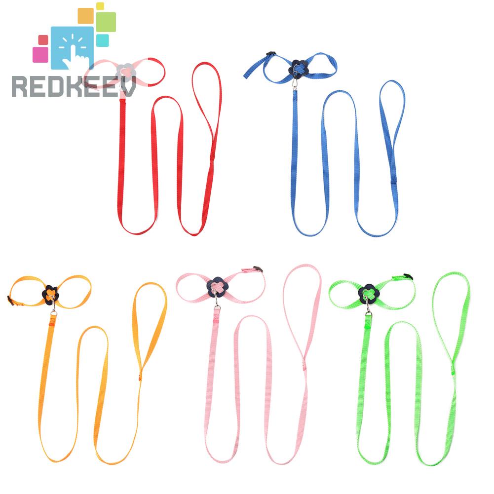 Dây Xích Huấn Luyện Vẹt Có Thể Điều Chỉnh Chống Bay