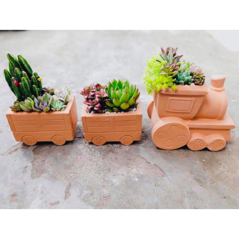 Chậu đất nung - chậu xe lửa