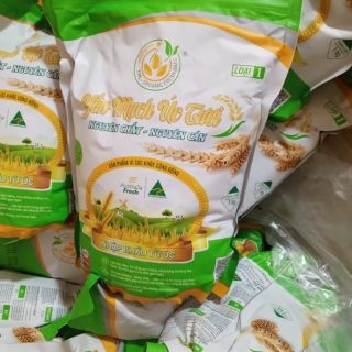 Combo sỉ 4 gói yến mạch tươi