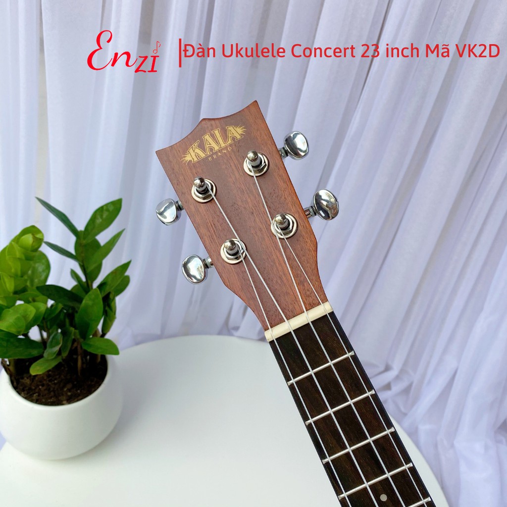 Đàn ukulele concert VK2D Enzi 23 inch gỗ mộc trơn khóa đúc cho bạn mới bắt đầu tập chơi