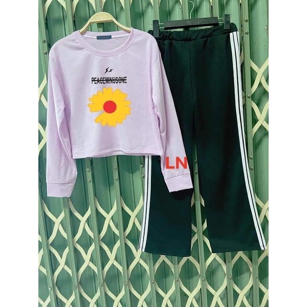 Sét áo croptoo dài tay hoa cúc + quần rộng 3 sọc TH6