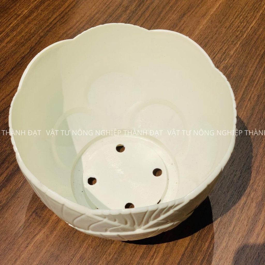 Chậu trồng cây hoa văn vỏ sò, màu trắng hàng dày 2 kích thước