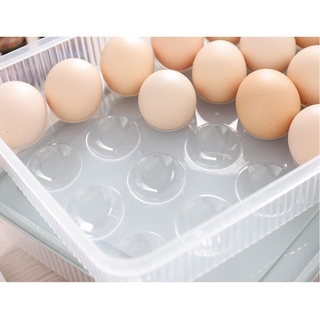 Egg storage box with lid refrigerator kitchen fresh-keeping storage box new plastic egg rack egg tray