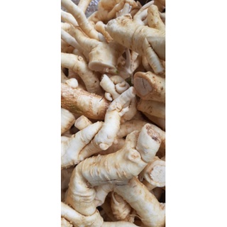 rễ đinh lăng nếp chọn