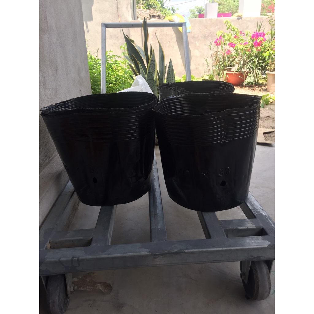 BẦU ƯƠM CÂY 40*33 ( DỊCH TRUYỀN CHO CÂY, KÍCH RỄ , MẦM CÂY XANH LÁ, LƯỚI CHE NẮNG...)