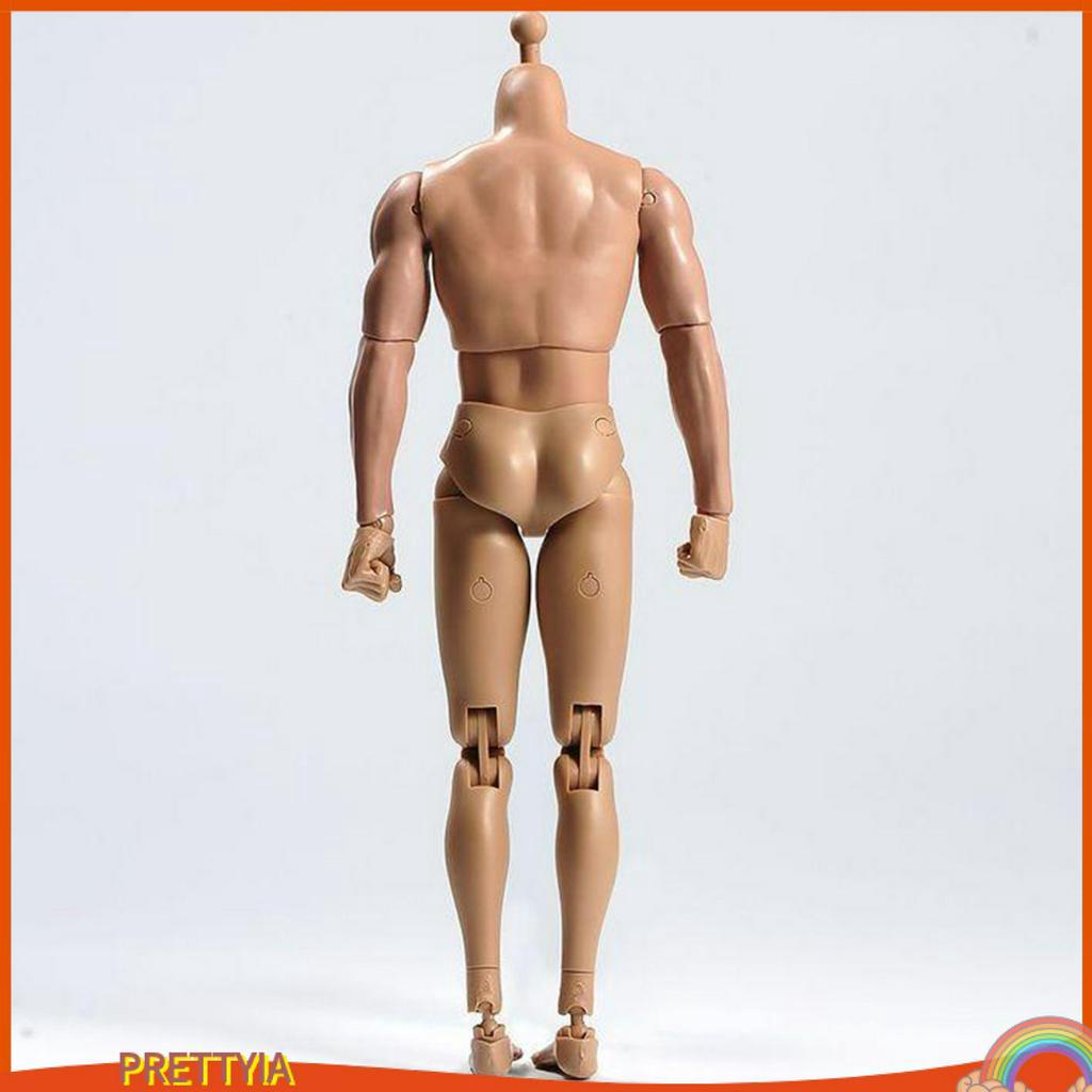 Mô Hình Cơ Thể Nam Tỉ Lệ 1 / 6