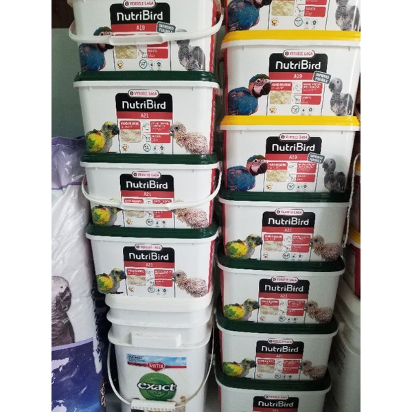 Bột A21 và A19 thùng 3kg