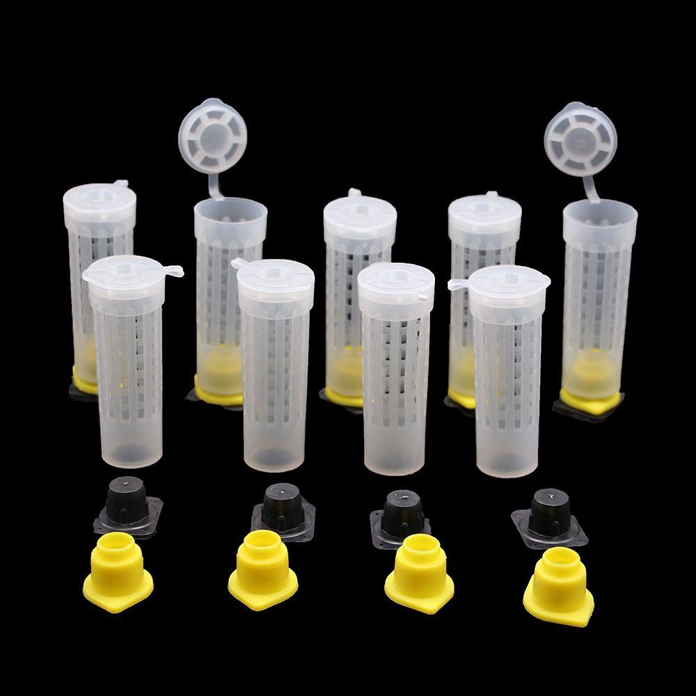 Vỏ Bọc Bảo Vệ Cốc Nuôi Ong Bằng Nhựa Tiện Dụng