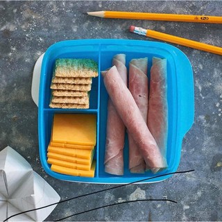 Hộp cơm màu sắc 500ml tupperware indonesia