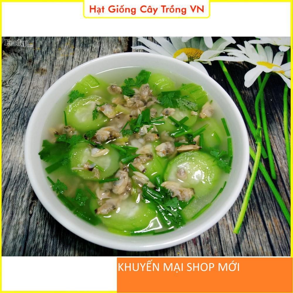 Hạt giống Mướp Hương - Gói 1 Gram khuyến mại shop mới