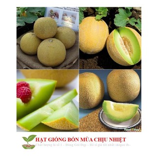 Hạt Giống Dưa Lưới Lõi Vàng Oval  (10 hạt)