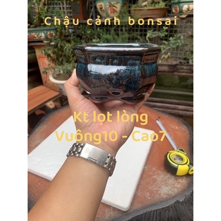 Chậu vuông bợm mini- Chậu trồng cây bonsai - chậu trồng sen đá - chậu cảnh bonsai