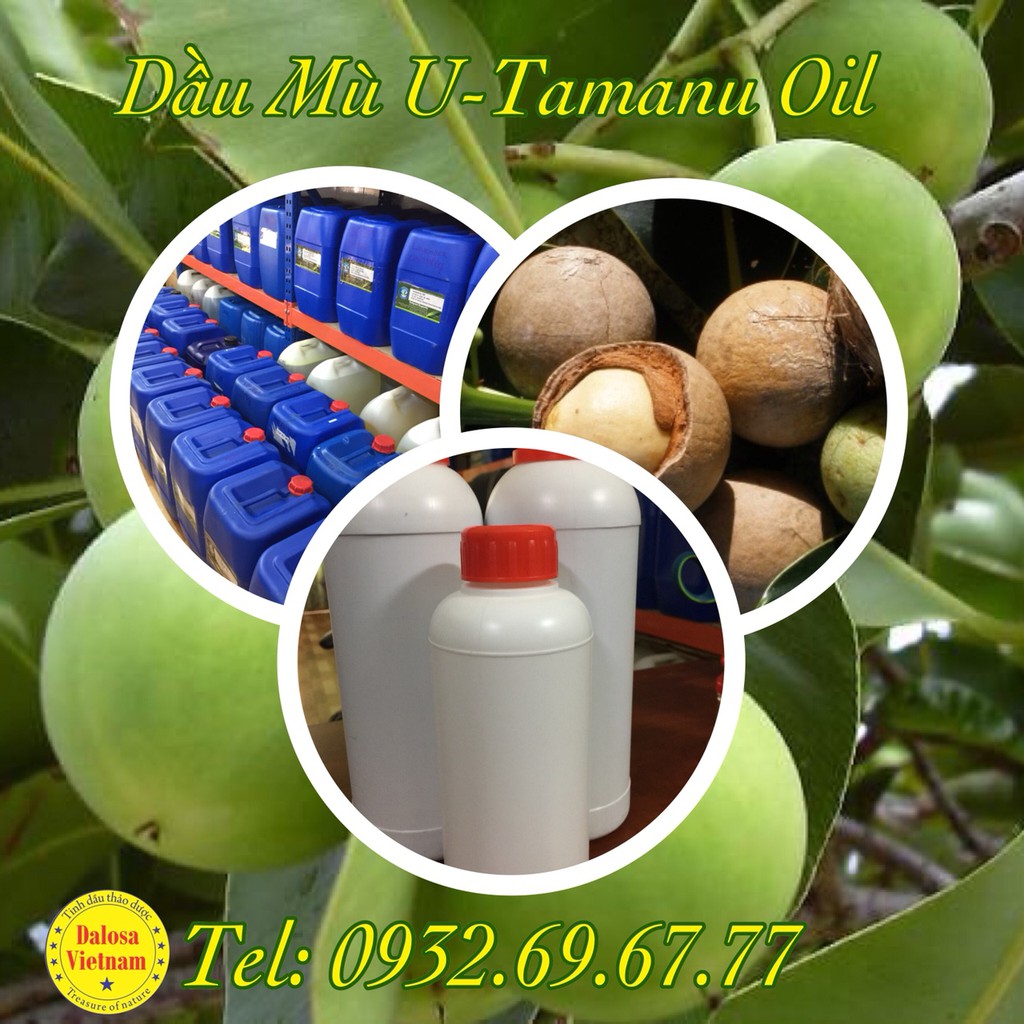 DẦU MÙ U THÔ (MÀU XANH) 500ML