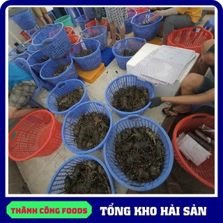 Tôm hùm xanh sống 1kg
