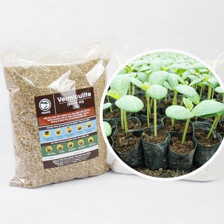 Đá Vermiculite Namix 5dm