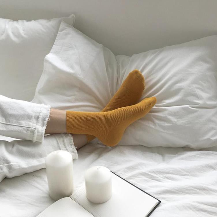 Tất Nữ Cổ Cao Cotton Màu Trơn Phong Cách Hàn Quốc Vớ Cao Cổ Nữ Nhiều Màu Hàn Quốc