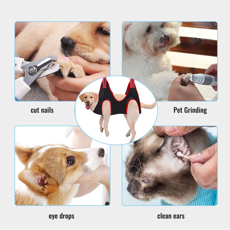 Võng Kèm Dụng Cụ Cắt Móng Cho Thú Cưng Nhỏ