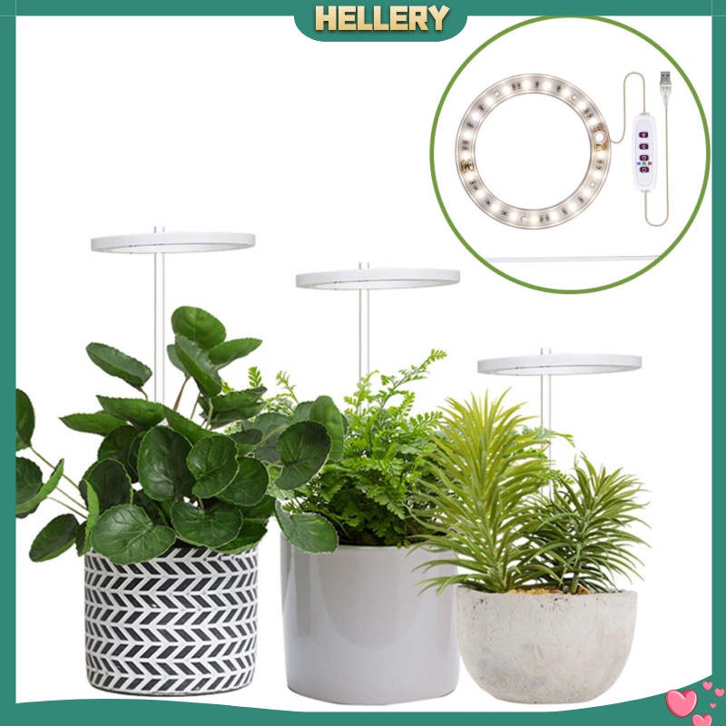 Đèn chiếu sáng giúp cây phát triển trong nhà tùy chọn loại