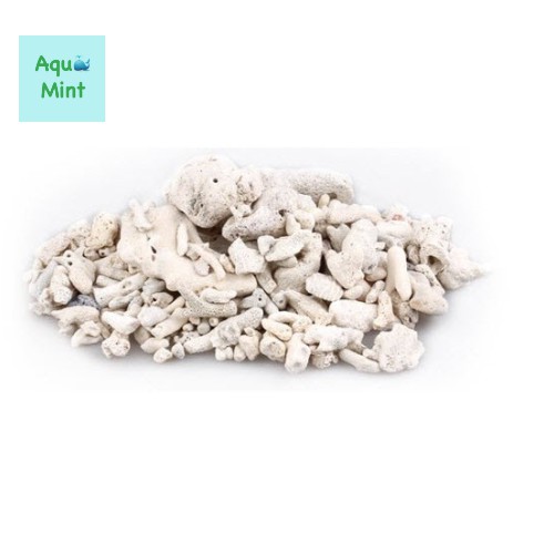 San Hô Vụn 100Gr