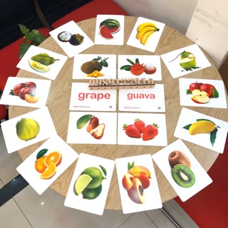 Flash card Glenn Doman Thẻ học khổ A5