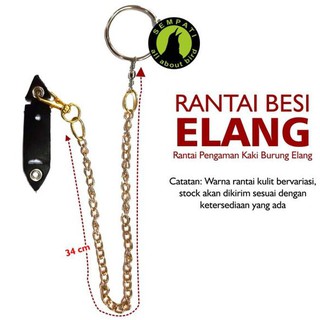 Phụ kiện dây xích gắn chân chim vẹt tiện lợi