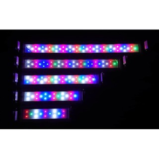 Đèn Led 3 chế độ-4 màu mix (cho bể 30-40-50-60cm)