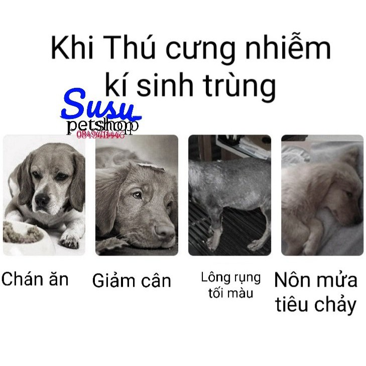 Thuốc Trị Ve Rận Bọ Chét FRONIL EXTRA Nhỏ Gáy cho Chó - 1 tuýt