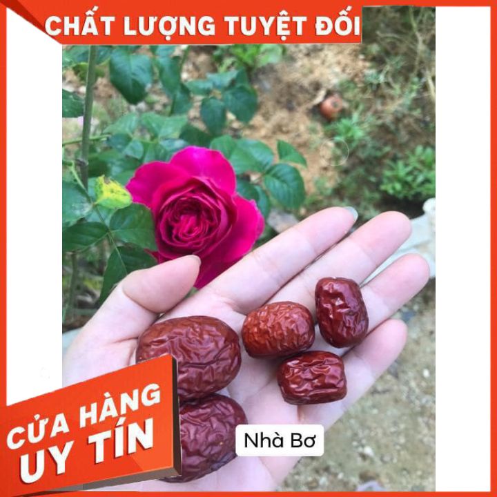 Táo Đỏ (hồng táo) Tân Cương 🍎 NGON NHẤT 🍎 giống Nhược Khương, đặc biệt thơm, dẻo ngọt dùng pha trà, tần thuốc bắc