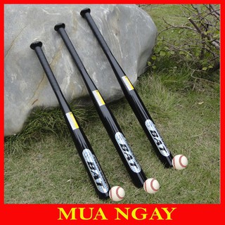 GẬY BÓNG CHÀY DÀI 74CM BAT