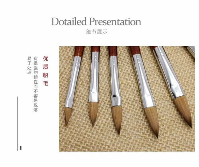 Cọ đắp bột móng hiệu kolinski nail bút đắp bột móng nail loại đẹp đầu cọ mướt