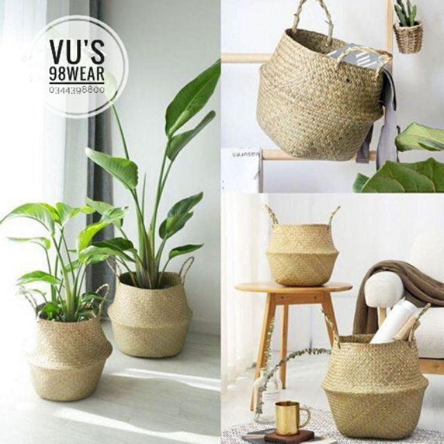 (VNXK) SỌT CÓI ĐA NĂNG