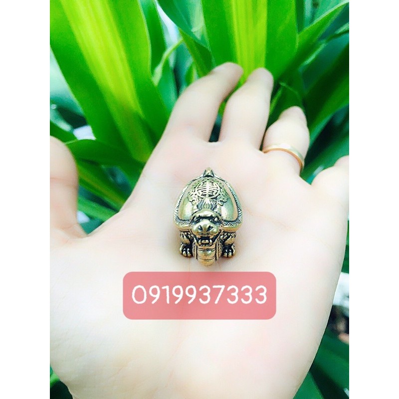 Tượng đồng Long Quy ( ngang 4 cm) | BigBuy360 - bigbuy360.vn