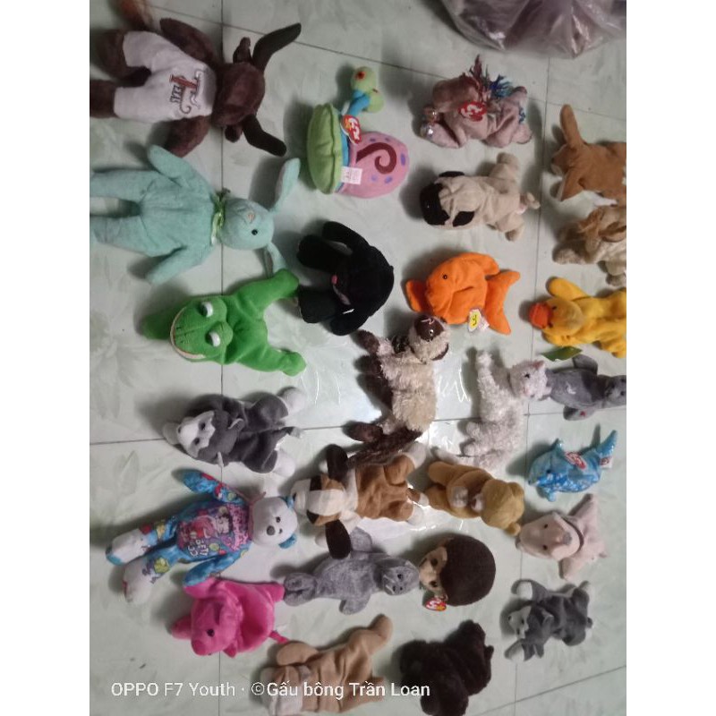 Gấu bông có hạt nhựa bên trong