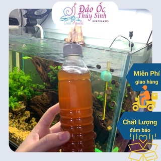 Nước cốt lá bàng thần thánh