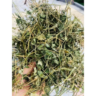 Giảo cổ lam 1kg