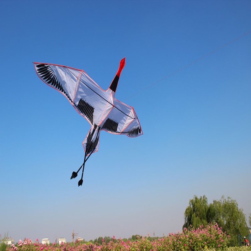 DIỀU SẾU ĐẦU ĐỎ - DIỀU HỒNG HẠC 2 MÉT