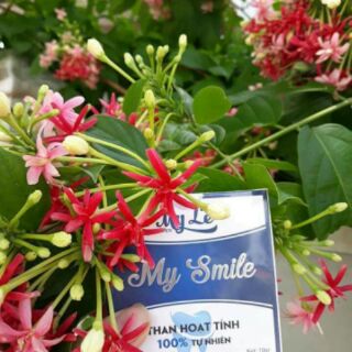 Trắng răng than hoạt tính MY SMILE