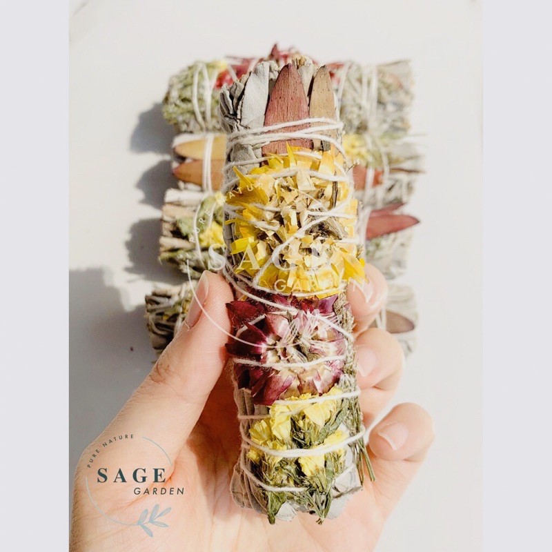 XÔ THƠM TÀI LỘC (Lucky Money Sage)_SAGE GARDEN