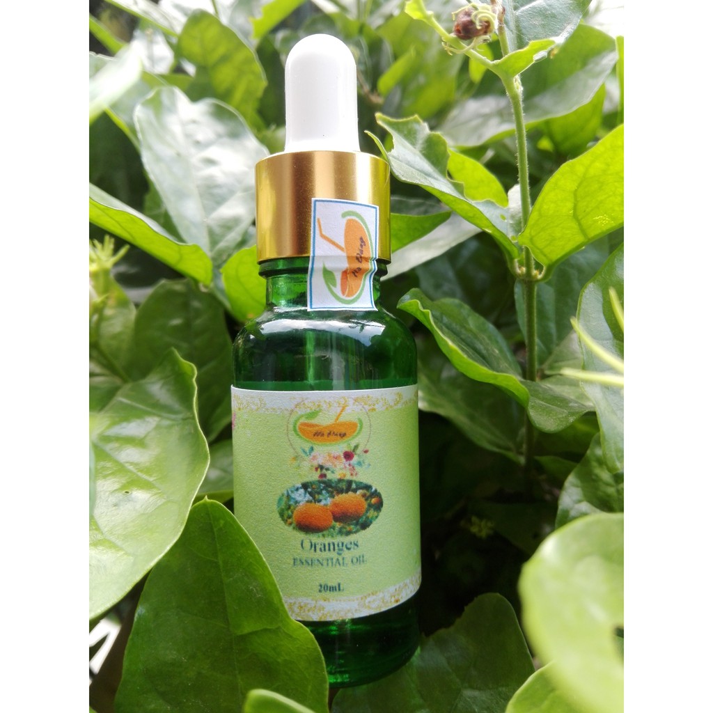 Tinh dầu cam sành Hà Đăng, tinh dầu nguyên chất - Sành oranges essential oil