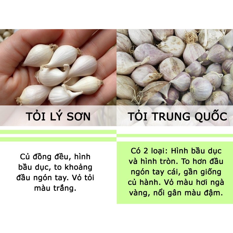 1KG TỎI CÔ ĐƠN LÝ SƠN CHÍNH HIỆU