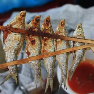 Cá tép dầu đặc sản Hồ Ba Bể