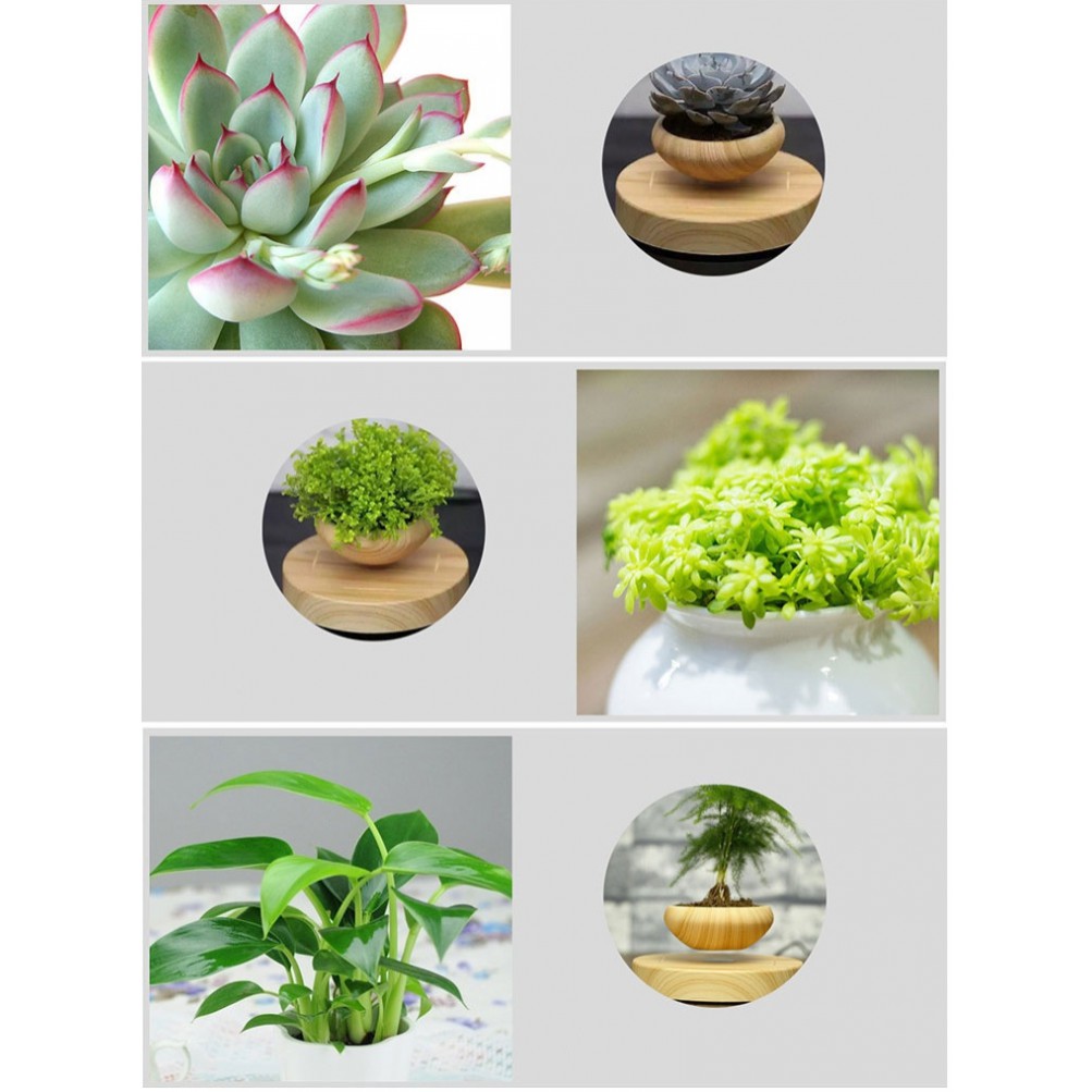 Chậu cây từ Air Bonsai bay lơ lửng nam châm điện vĩnh cửu