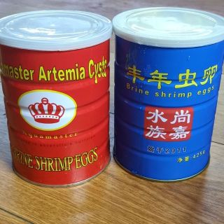 Atermia ấp nở lon đỏ - lon xanh