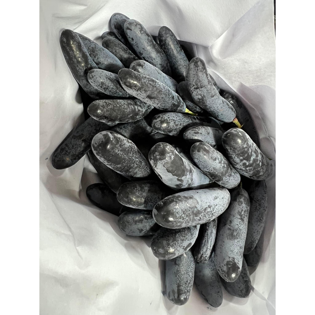 Nho Móng Tay Mỹ 100% Tươi Ngon Nhập Khẩu Từ Mỹ