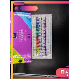 Màu acrylic tuýp 12 màu memory