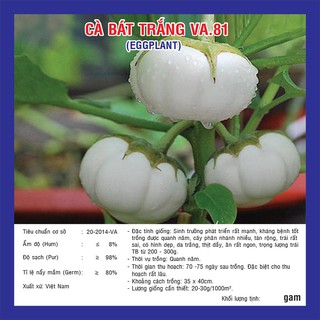 Hạt giống Cà Bát Trắng (VA.81)