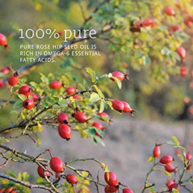 Dầu Hạt Tầm Xuân - Now Foods Rosehip Seed Oil - Dầu dưỡng cho da dầu mụn & hỗn hợp - 100% Pure Rose Hip Oil & Organic